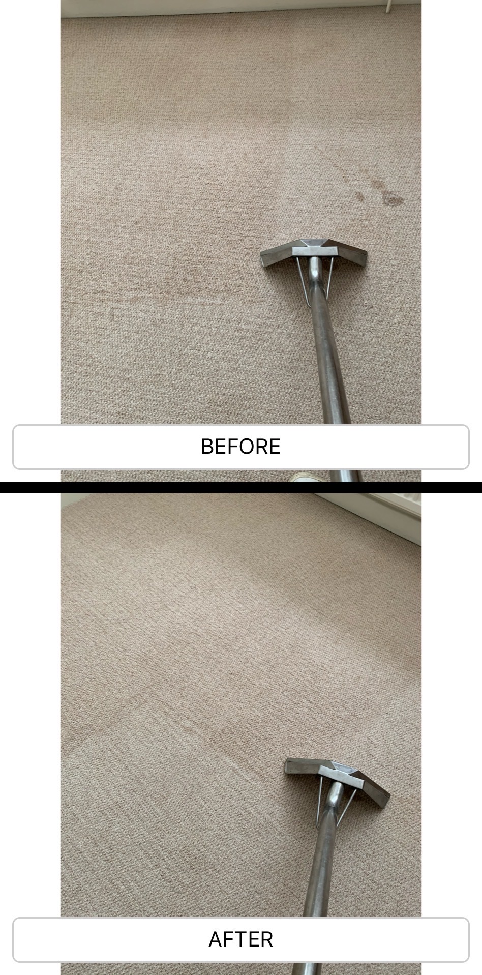 carpet cleaning service during an end of tenancy cleaning