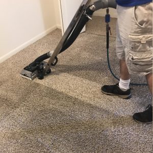 dry carpet cleaning service
