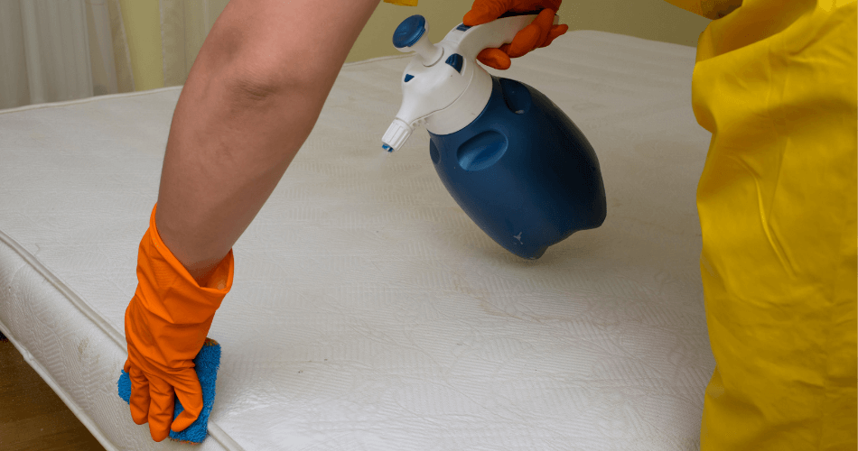 homemade techniques for mattress cleaning
