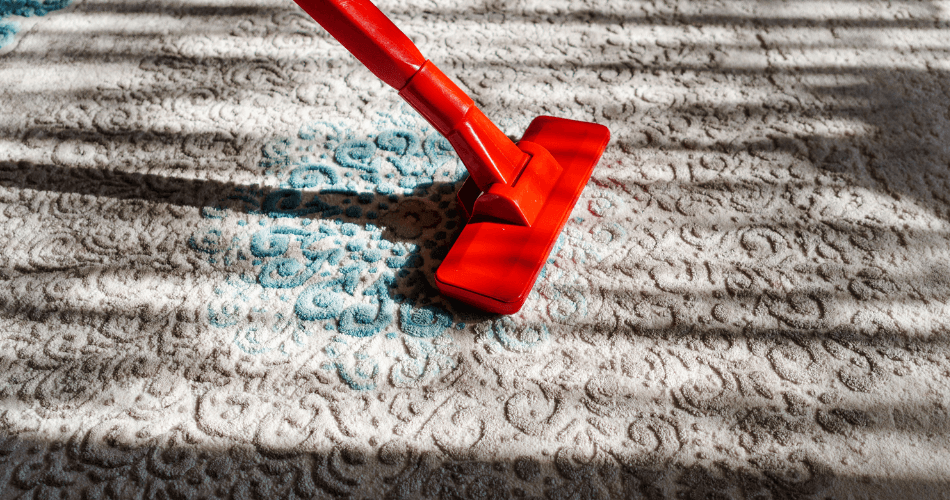 professional rug cleaning services in london