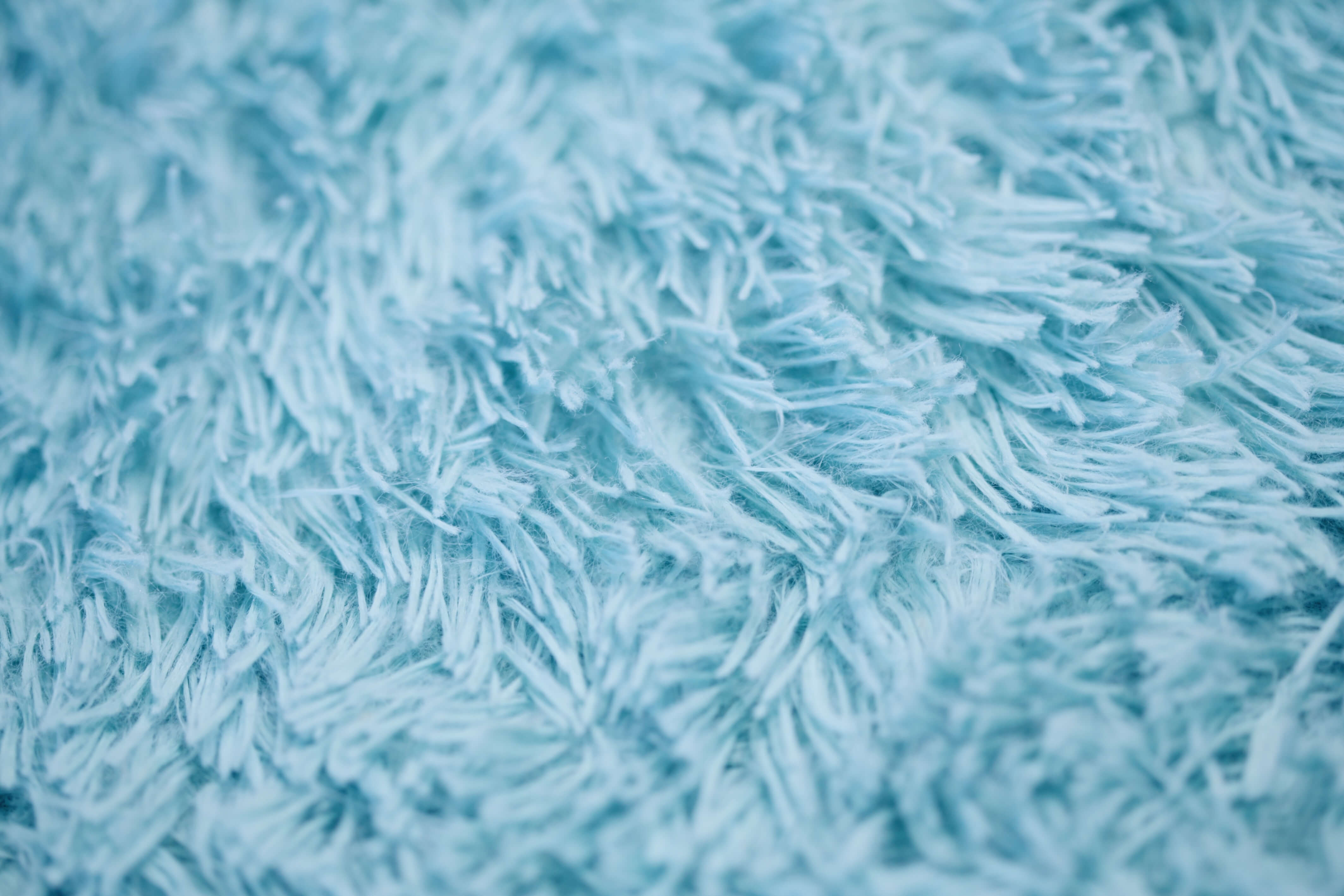 very clean blue wool carpet