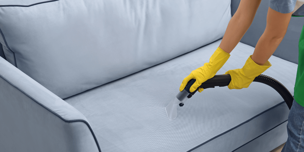 professional cleaner do a upholstery cleaning service regularly